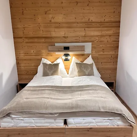 Alpin 101 Appartamento Schladming