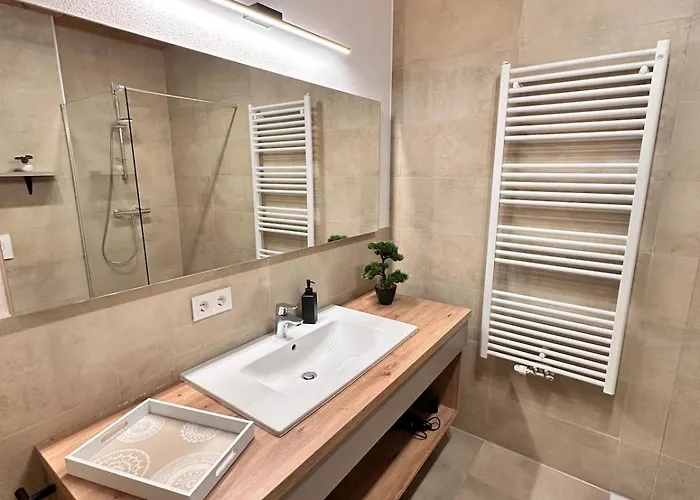 Alpin 101 Appartamento Schladming